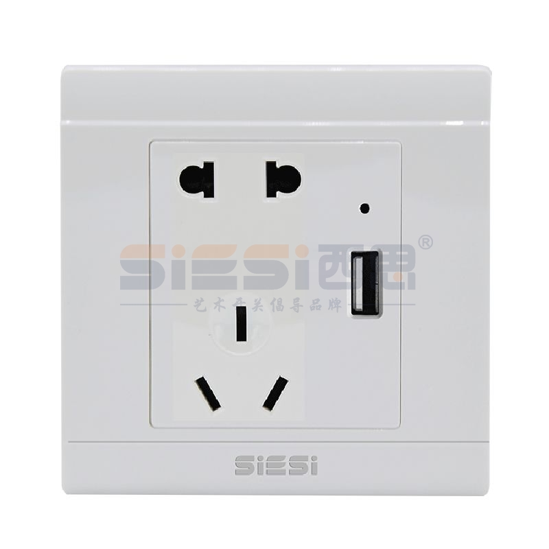 10A二三極插座帶USB